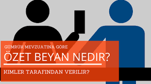 Kimler özet beyan verebilir?